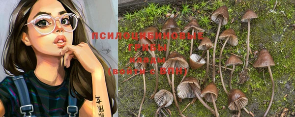 круглые Медвежьегорск
