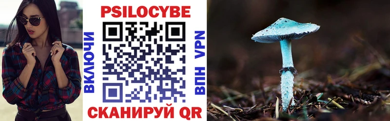 Купить закладки  Кировград  Галлюциногенные грибы Magic Shrooms 