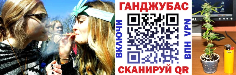 Шишки марихуана Amnesia  Купить где  Кировград 